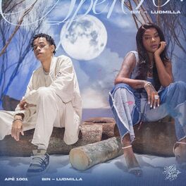 Album cover of Apê 1001