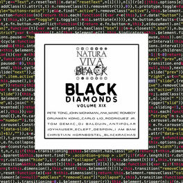Album cover of Black Diamonds, Vol. 19