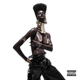 Album cover of The Album
