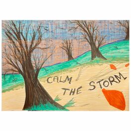 Album cover of Calm the Storm