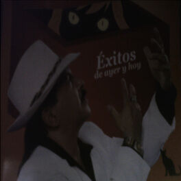 Album cover of Exitos de Ayer y Hoy