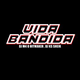 Album cover of VIDA BANDIDA