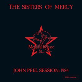Album cover of John Peel Session: 1984