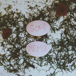 Album cover of Soap (Remixes)