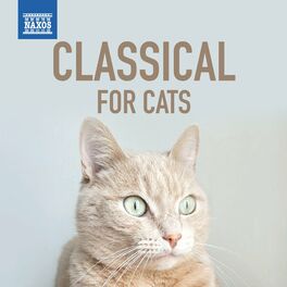 Album cover of Classical for Cats