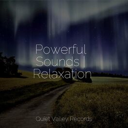 Album cover of Powerful Sounds | Relaxation