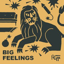 Album cover of Big Feelings
