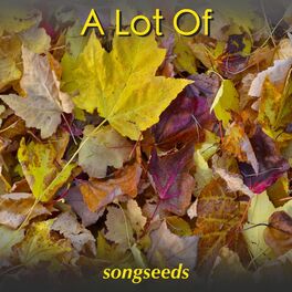 Album cover of A Lot Of
