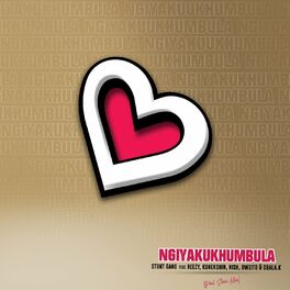 Album cover of Ngiyakukhumbula