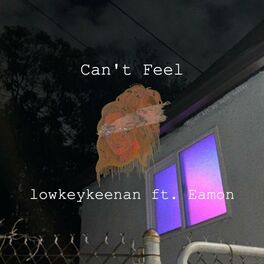 Album cover of Can't Feel (feat. Eamon)