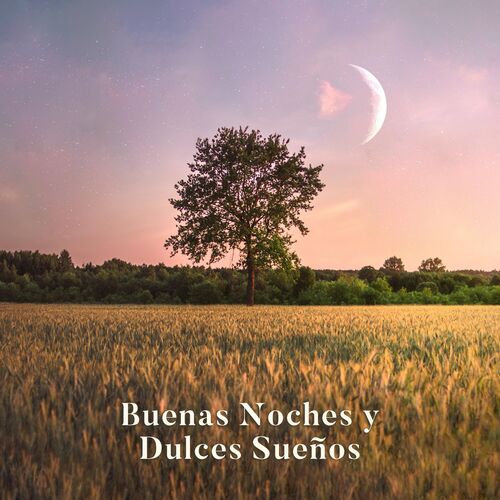 Academia de Sonidos de la Naturaleza para Dormir - Buenas Noches y Dulces Sueños: Sonidos de Naturaleza para Dormir Bien: letras de canciones | Deezer Academia de Sonidos de la Naturaleza para Dormir - Buenas Noches y Dulces Sueños: Sonidos de Naturaleza para Dormir Bien: letras de canciones | Deezer