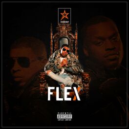 Album cover of Flex (feat. Sneakbo)