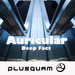 Album cover of Deep Fact