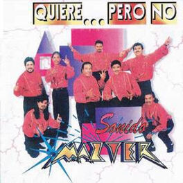 Album cover of Quiere Pero No