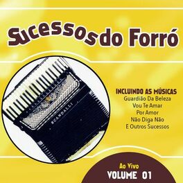 Album cover of Sucessos do Forró Vol. 01 ao Vivo