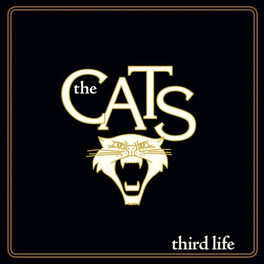 Album cover of Third Life