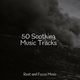 Album cover of 50 Soothing Music Tracks