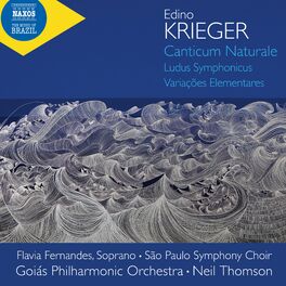 Album cover of Krieger: Canticum naturale, Ludus symphonicus & Variações elementares