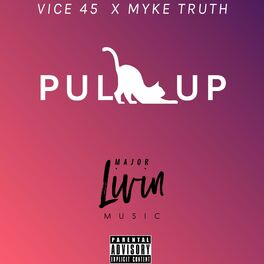 Album cover of Pull Up (feat. Vice 45)