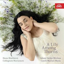 Album cover of Michna: Czech Marian Music - Lilly Among Thorns