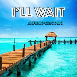 Album picture of I'll Wait