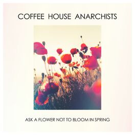 Simon Says 'Party'  Coffee House Anarchists