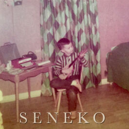 Album cover of Seneko