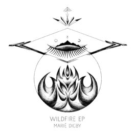 Album cover of Wildfire - EP