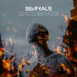 Album cover of Incinerate