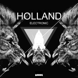 Album cover of Holland Electronic