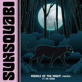 Album cover of Middle Of The Night (Panther)