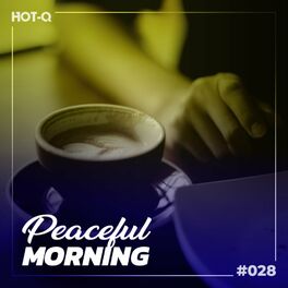 Album cover of Peaceful Morning 028