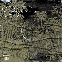 Album cover of Oriental Trip, Vol. 2