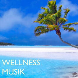 Album cover of Wellness Musik: Entspannungsmusik und Hintergrundmusik zum Nachdenken & Schlafen im Eco Spa