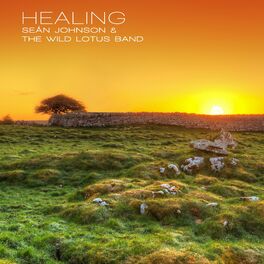 Album cover of Healing (Brigid)