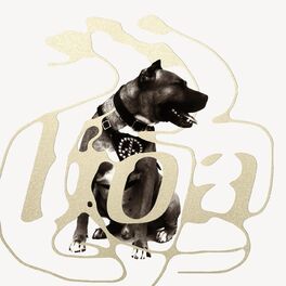 Album cover of Boaphenia (30th Anniversary Edition)