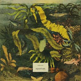 Album cover of aquarium