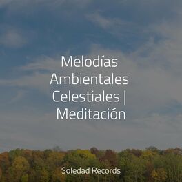 Album cover of Melodías Ambientales Celestiales | Meditación