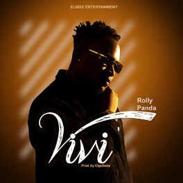 Album cover of Vivi