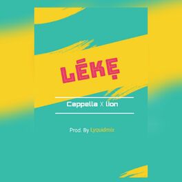 Album cover of Leke