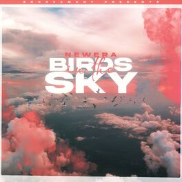 Album cover of Birds In The Sky (Acoustic)