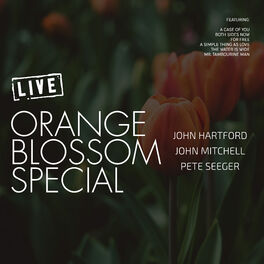 Album cover of Orange Blossom Special (Live)