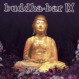 Album cover of Buddha Bar IX