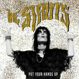 Album cover of Put Your Hands Up