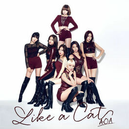 Album cover of Like A Cat