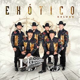 Album cover of Exótico (Deluxe)