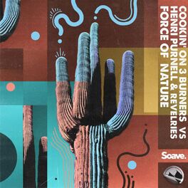 Album cover of Force of Nature