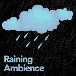 Album cover of Raining Ambience