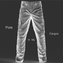 Album cover of Pole in My Cargos