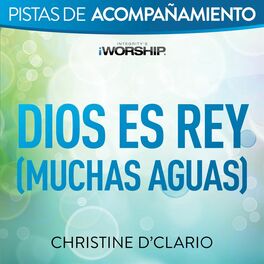 Album cover of Dios es Rey (Muchas aguas) (Audio Performance Trax)